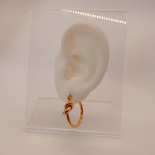 Load image into Gallery viewer, DRIP JEWELRY Naughty Hoops (2 sizes)
