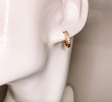 Load image into Gallery viewer, DRIP JEWELRY BY AK Earrings baby sparkle huggie
